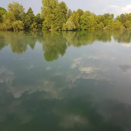 Harun * Bihać